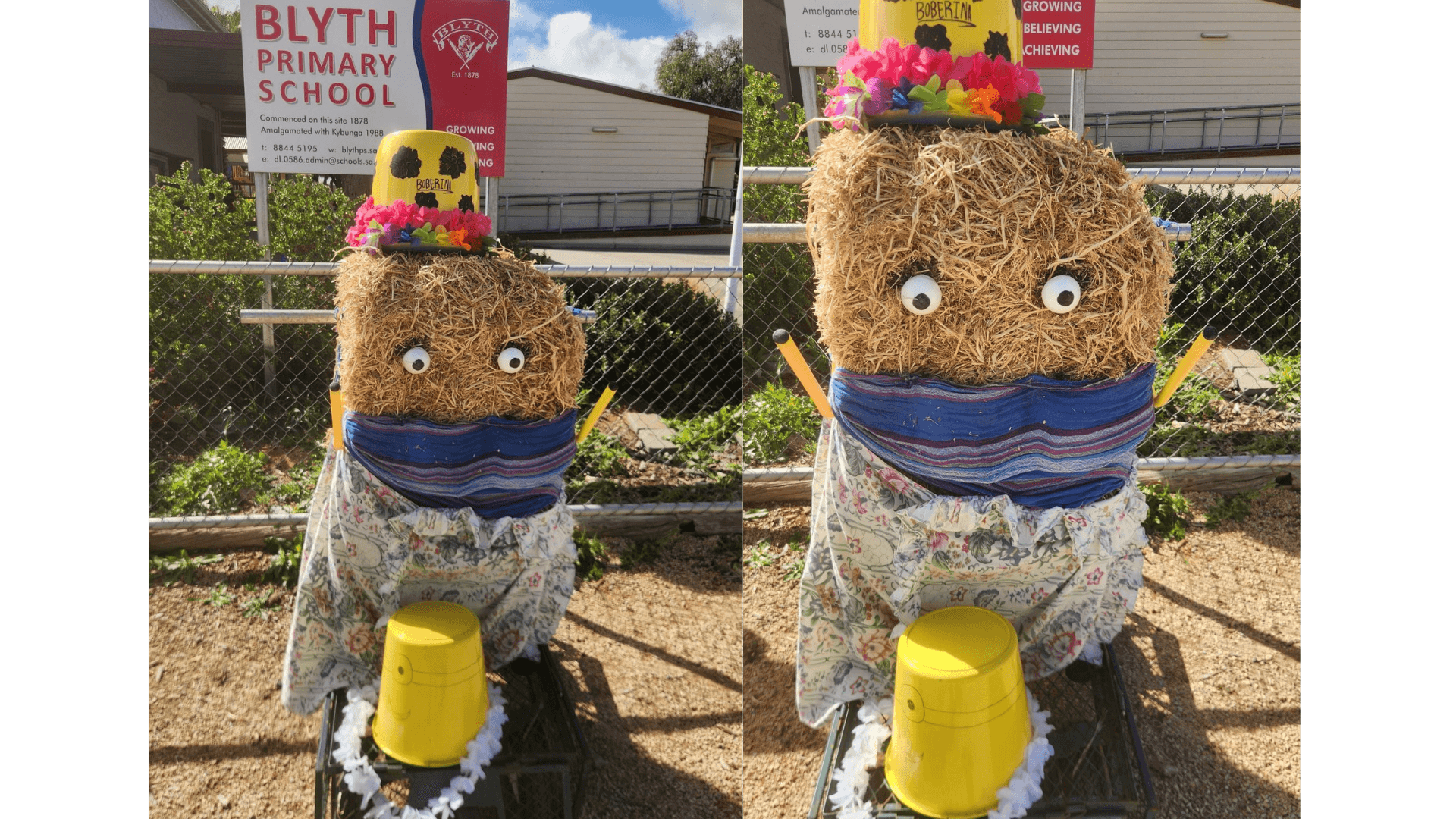 Blyth Primary School - Boberina