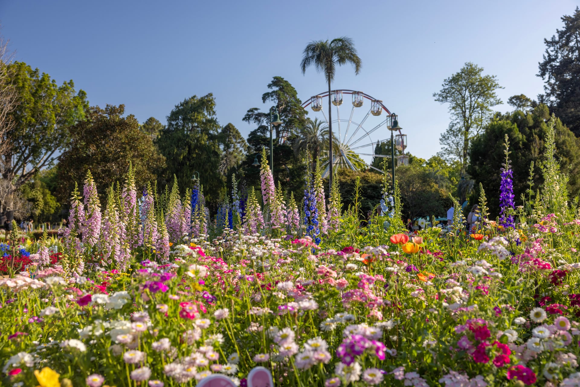 Queens garden toowoomba