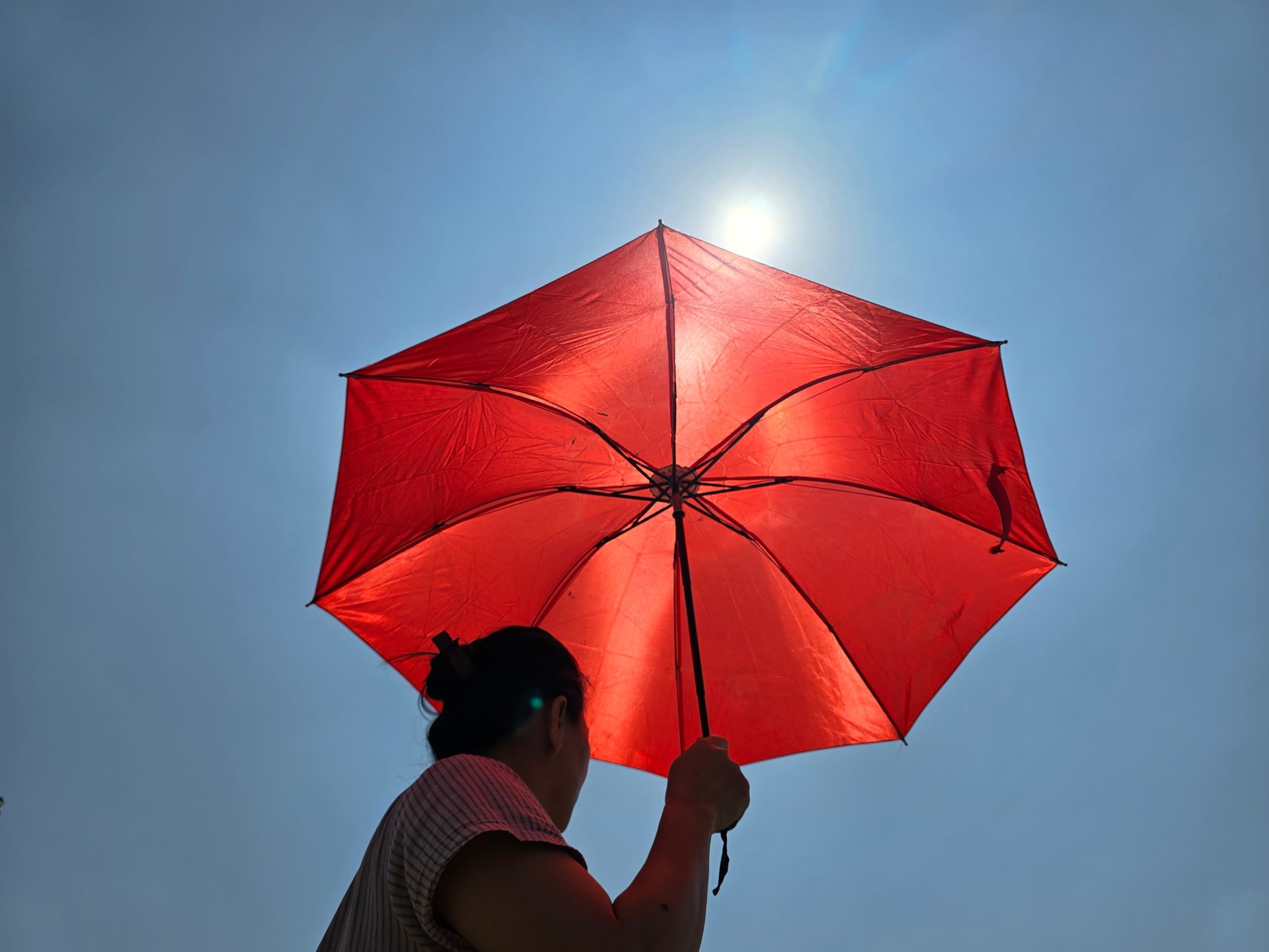 Umbrella