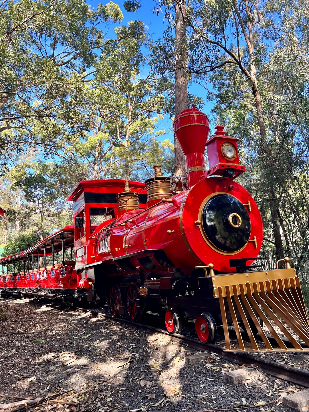 Dreamworld Express