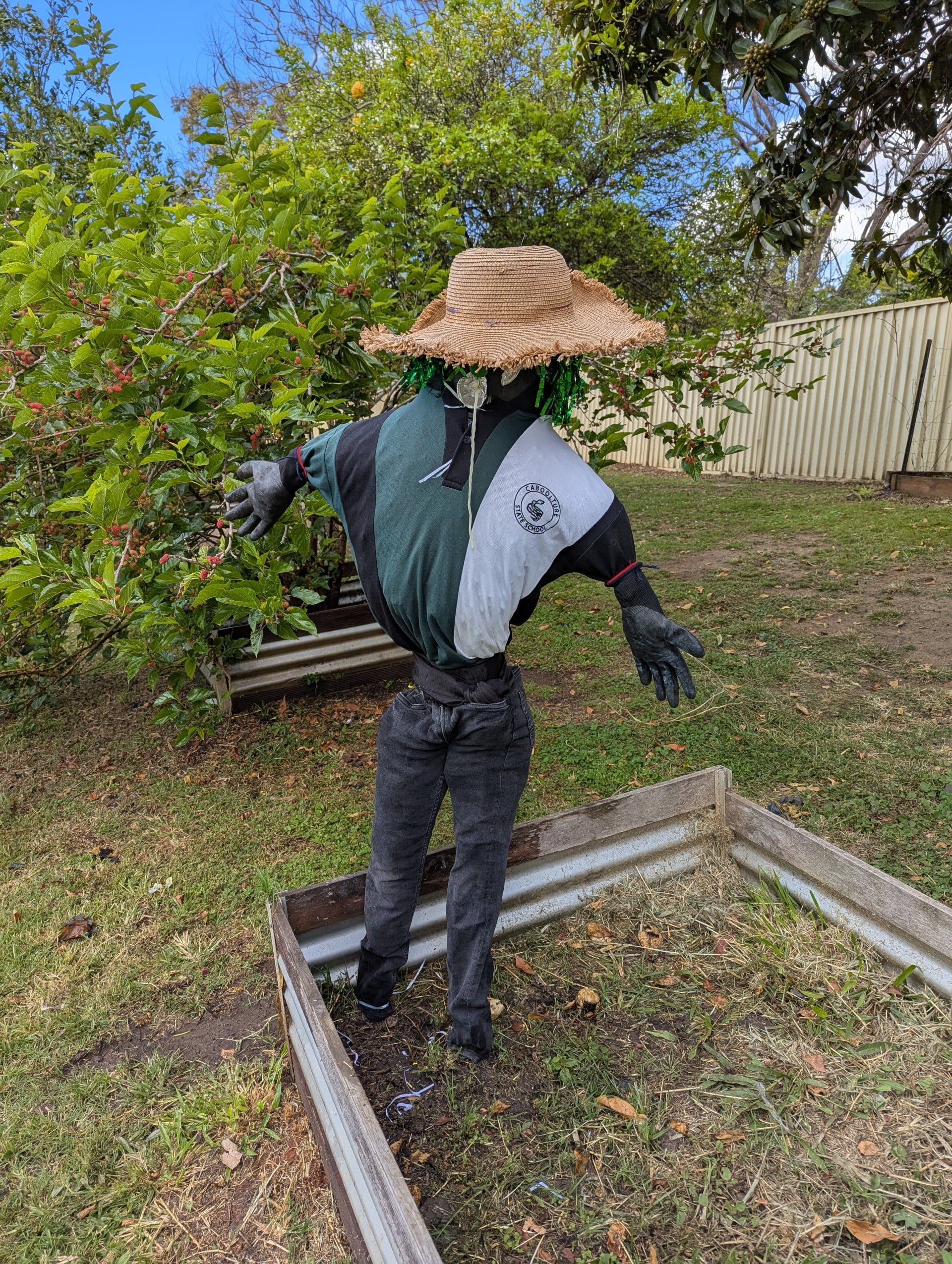Caboolture State School - School Garden Scarecrow