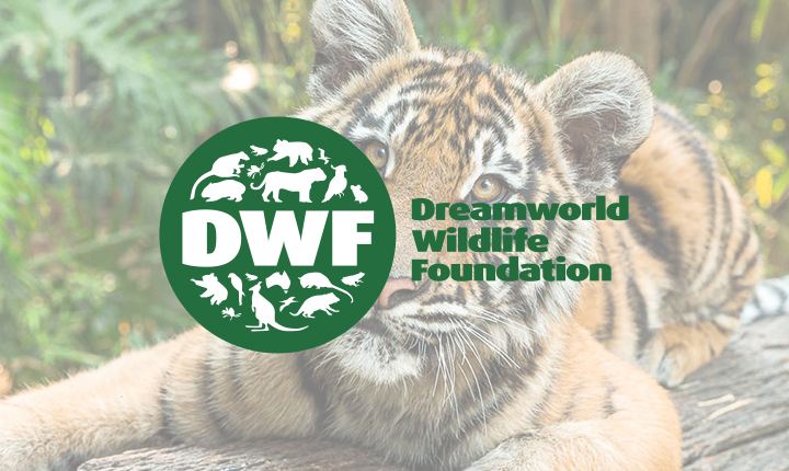 Dreamworld Wildlife Foundation